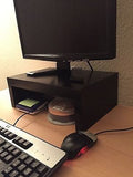 Computer Monitor Riser Stand Handcrafted Modern Style Shelf
